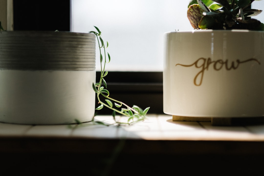 Photo Grow lights