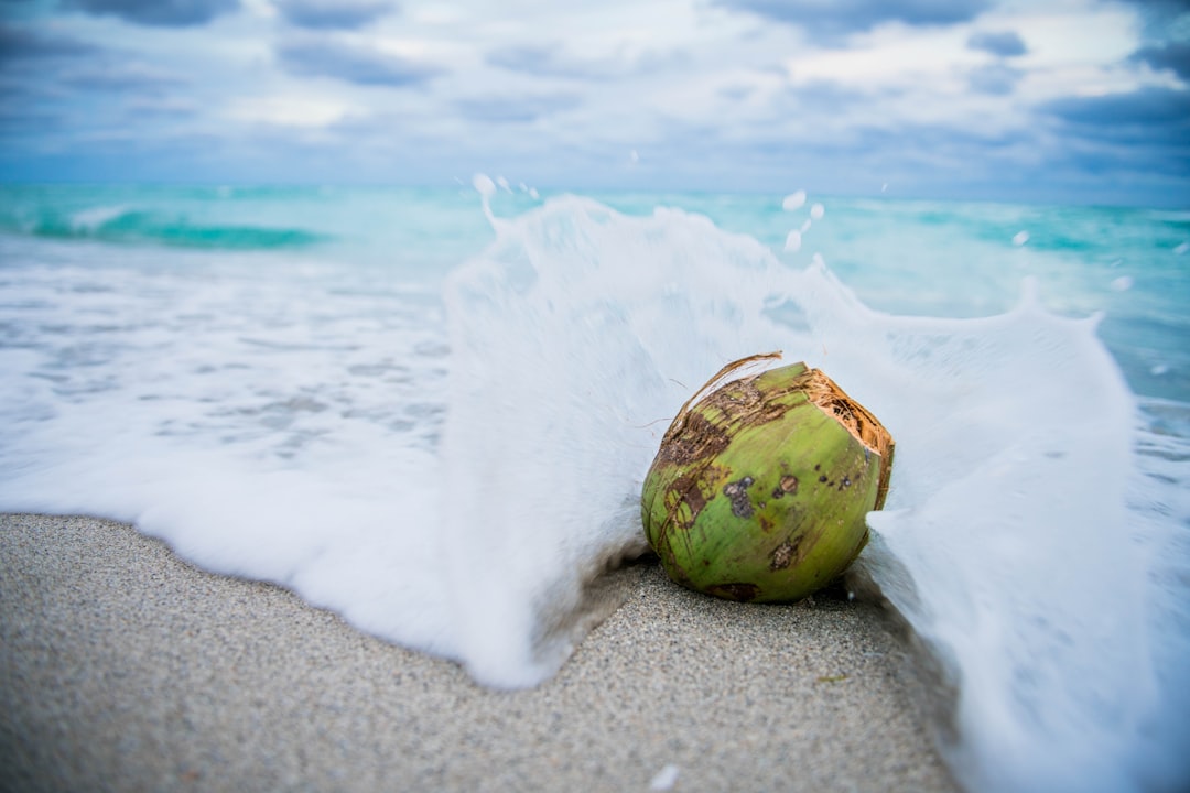 Photo Coconut and hemp