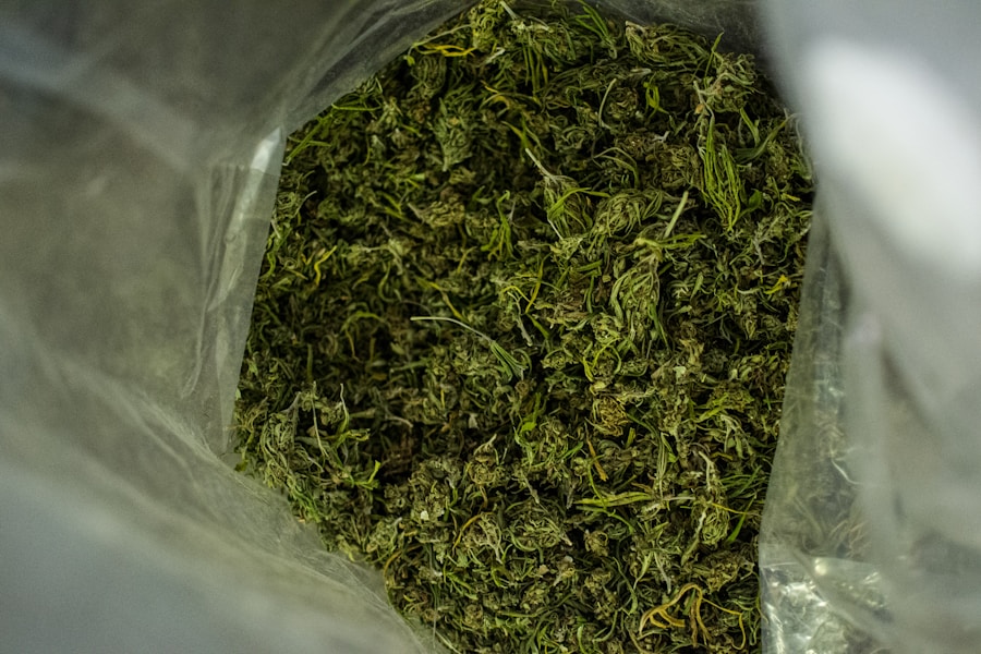 Marihuana w polskich sądach: aktualna sytuacja - abcdhe 2