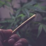 Photo "Marijuana in Polish courts"