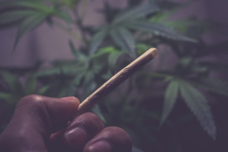 Photo "Marijuana in Polish courts"