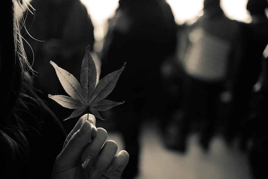 Marihuana w polskich sądach: aktualna sytuacja - image 5
